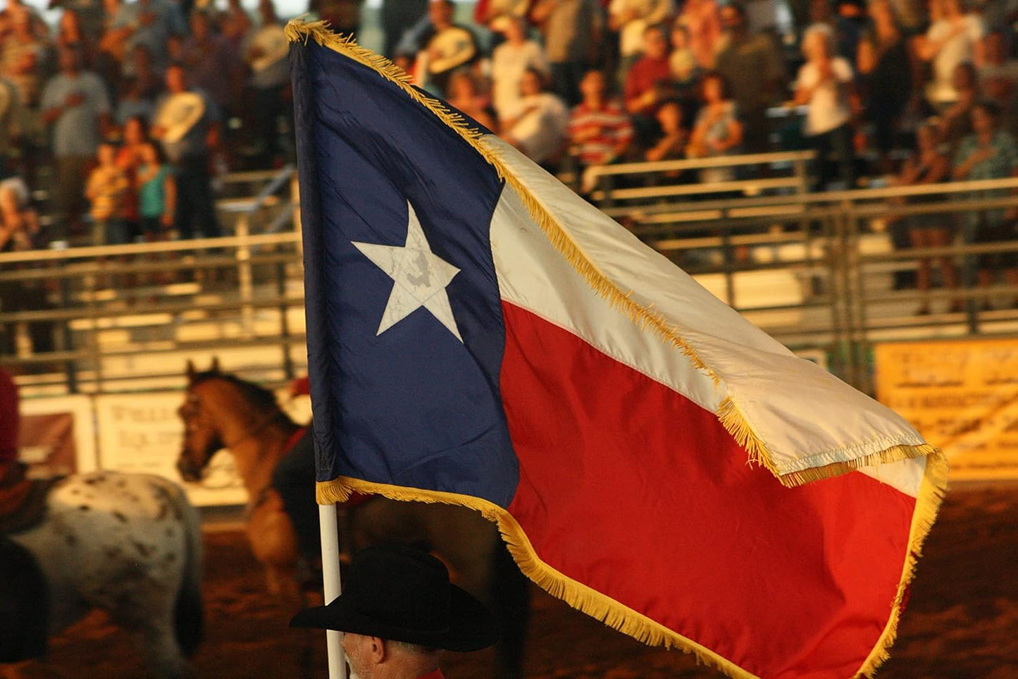 Texas Flag with Gold Fringed 3x5 Ft, Made in USA, Indoors Tx State Flag, Embroidered Stars, with 4 Rows of Lower Stitches…