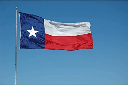 Texas Flag 2.5X4 TX State Flags -Made in USA - Embroidered Sewn Heavy Duty 210D Oxford Nylon Flag Vivid Color - Brass Grommets and 4 Stitch Hemming USA Flag