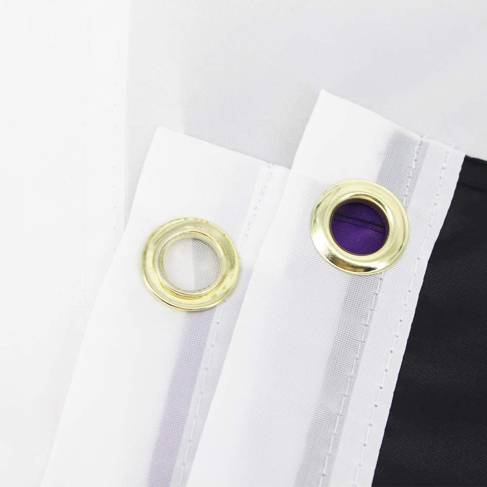 Pack of 2 Asexual Pride Flag 3x5 Heavy Duty Polyester LGBT Asexual Omni sexual Equality Flags for outdoor wall with Brass Grommets & Durable Header