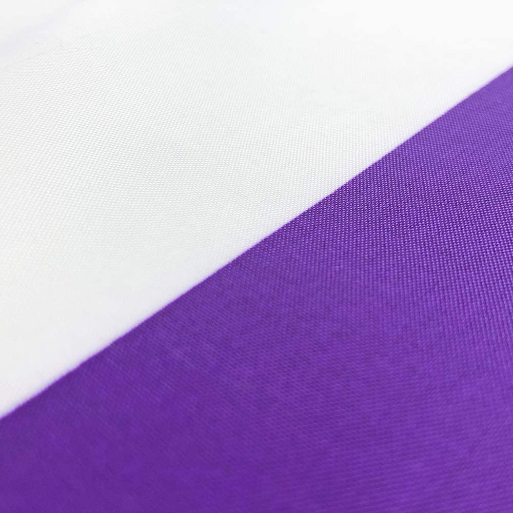 Pack of 2 Asexual Pride Flag 3x5 Heavy Duty Polyester LGBT Asexual Omni sexual Equality Flags for outdoor wall with Brass Grommets & Durable Header