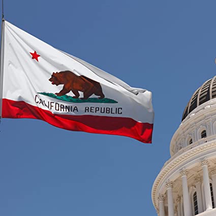 California Flag 3x5 ft Outdoor, 3 Layers Polyester California Sate Flags Double Sided Made in USA, Heavy Duty Ca Flag with 2 Brass Grommets for House Wall Room Decoration(California)
