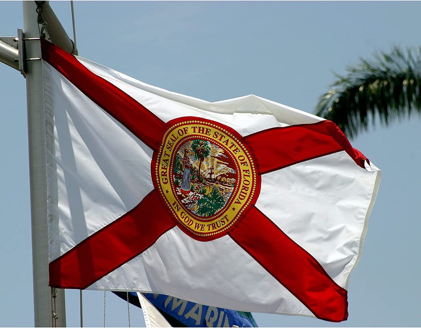 Florida State Flag 3x5 Feet, 3 Ply Double Sided State of Florida Flags with 2 Brass Grommets and Canvas Header, Heavy Duty Polyester Vivid Color Outdoor Banner Made in USA