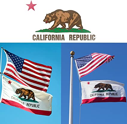 California Flag 3x5 ft Outdoor, 3 Layers Polyester California Sate Flags Double Sided Made in USA, Heavy Duty Ca Flag with 2 Brass Grommets for House Wall Room Decoration(California)