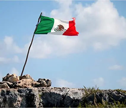 Pack of 2 Mexico Flag 3x5 ft Outdoor, Embroidered Double Sided Mexican National Flags Made in USA, Polyester 210D Heavy Duty Bandera Mexicana MX Mexico Flags with 2 Brass Grommets for Outsides House Room Decoration USA TOP FLAGS,INC