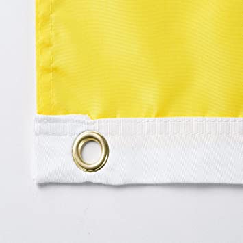 Ukrainian Flag 3x5 Outdoor - Ukraine Flags National Polyester Double Stitched Vivid Color with 2 Brass Grommets (Dont Tread on Ukraine Double Side)