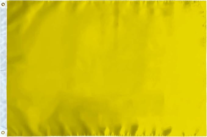 TOPFLAGS Solid Yellow Flag BlanK Flags 2x3 Ft Create Your Own Solid Yellow Flag DIY Blanks Canvas Banner to Decorate with Brass Grommets USA TOP FLAGS, INC