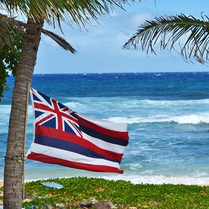 TOPFLAGS Hawaii Flag 3x5 Double Side Hawaiian 3Ply HI State Flags Heavy Duty Outdoor 4 Rows Stitched Edge with 2 Brass Grommets USA TOP FLAGS, INC