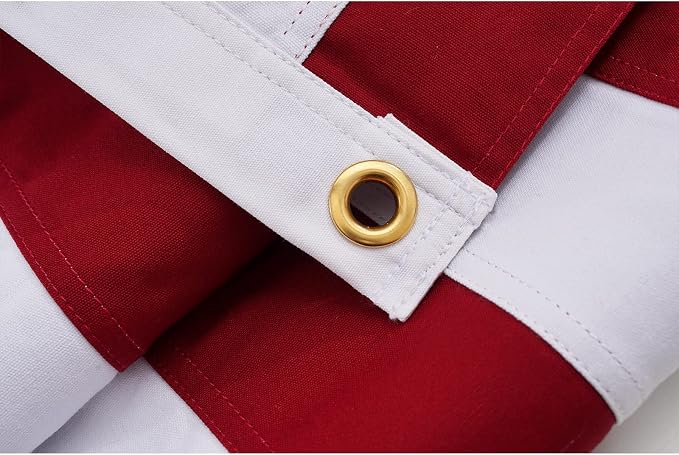 TOPFLAGS American Flag Cotton US Flags 5x9.5 Ft Embroidered Stars Sewn Stripes Heavy Duty USA Flag Indoor with Brass Grommets USA TOP FLAGS, INC