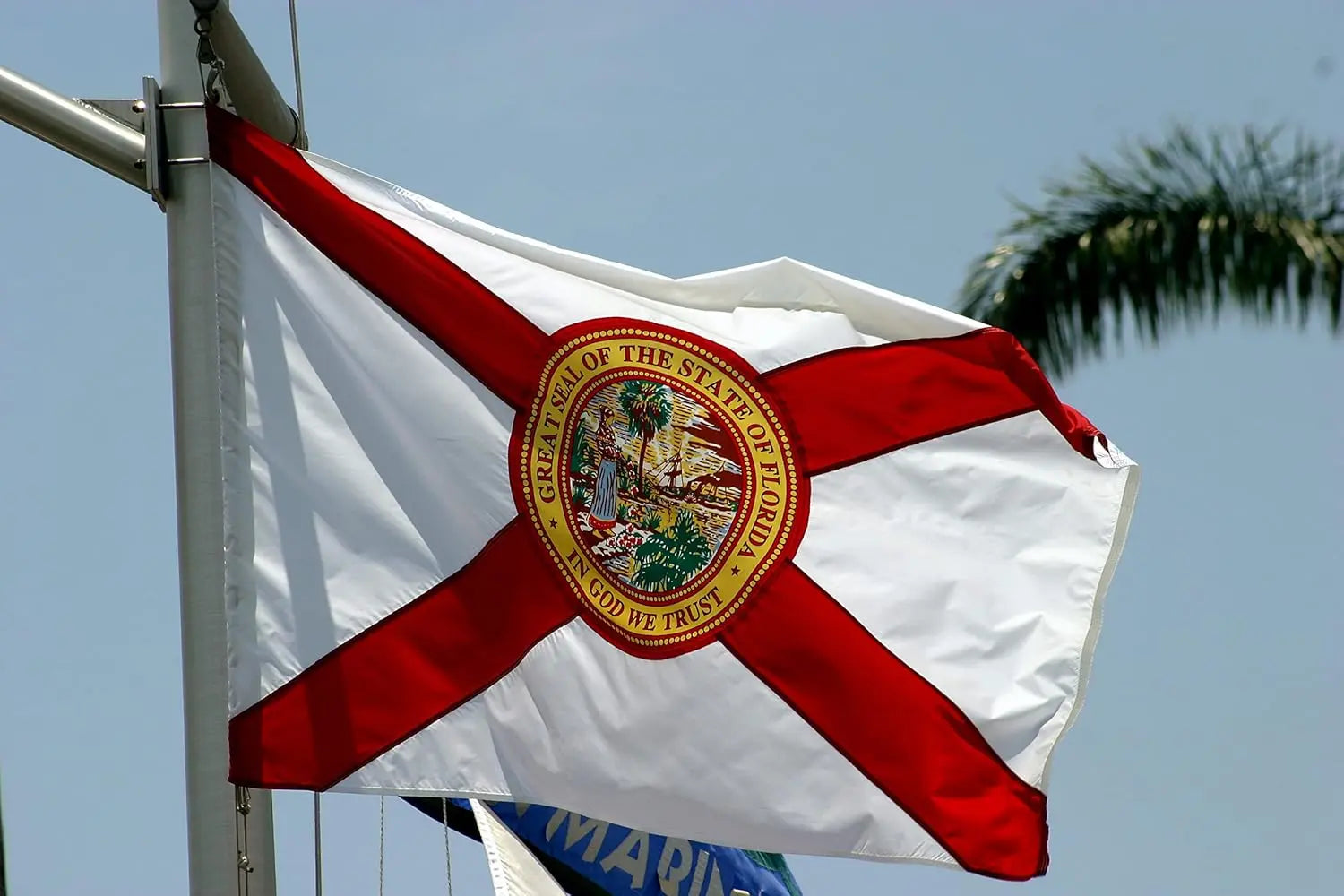 TOPFLAGS Florida Flag 5x8 Outdoor FL State Flags Embroidered The Sunshine State Flag Heavy Duty Sewn Stripes with 3 Brass Grommets USA TOP FLAGS, INC