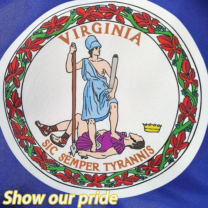 TOPFLAGS Virginia Flag 12x18 Inch, Double Sided 3-Ply Heavy Duty Polyester - Small Virginia State Boat Flag, Fade Proof Outdoor Marine Flags with 2 Brass Grommets (VA) USA TOP FLAGS, INC