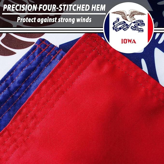 TOPFLAGS Iowa Flag 4x6 FT - 3 Ply Double Sided Polyester Iowa State Flag with Brass Grommets - Vivid Color and Fade Proof State of IA Flags 4x6 Outdoor USA TOP FLAGS, INC