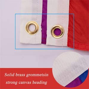 Pack of 2 Pride Flag for Outdoor, 3x5 Double Sided LGBTQ Flag Progress Pride Flag, Lesbian Flags Rainbow Gay LGBT Banner for Wall Community Support House Room Outside/Inside Decoration