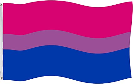 Pack of 10 Bisexual Flag 3x5 ft, Heavy Duty Bi Flags for Outdoor Made in USA, Vivid Color Bisexual Pride Flag Polyester for House Wall Outsides Insides Decoration