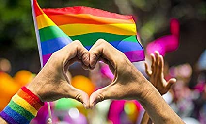 Pack of 2 Rainbow Gay Pride Flag, LGBT Lesbian 3×5Ft Banner, Stripe Outdoor Flags, Fade Resistant Durable Polyester with 2 Brass Grommets, Double Stitched for Home Room Wall Decoration Outside/Inside Use