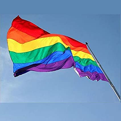 Pack of 2 Rainbow Gay Pride Flag, LGBT Lesbian 3×5Ft Banner, Stripe Outdoor Flags, Fade Resistant Durable Polyester with 2 Brass Grommets, Double Stitched for Home Room Wall Decoration Outside/Inside Use