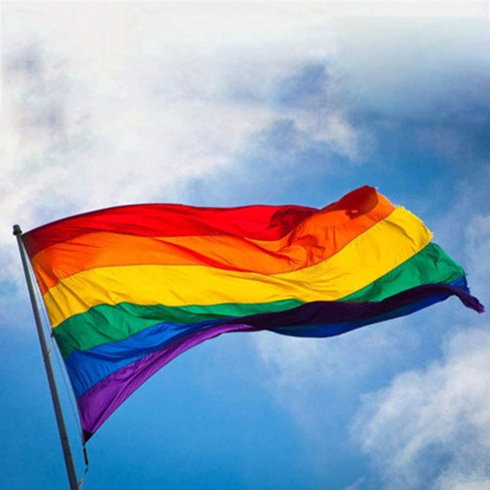 Pack of 2 Rainbow Gay Pride Flag 3x5 ft- LGBTQ Pride Parade Banner Flags UV Fade Resistant for Indoor Outdoor ( 6 Stripes Pride )
