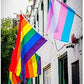 Pack of 2 Rainbow Gay Pride Flag, LGBT Lesbian 3×5Ft Banner, Stripe Outdoor Flags, Fade Resistant Durable Polyester with 2 Brass Grommets, Double Stitched for Home Room Wall Decoration Outside/Inside Use