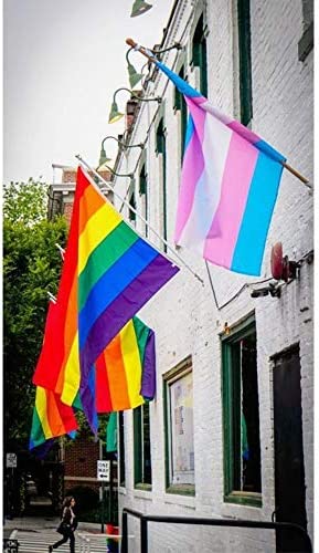 Pack of 2 Rainbow Gay Pride Flag, LGBT Lesbian 3×5Ft Banner, Stripe Outdoor Flags, Fade Resistant Durable Polyester with 2 Brass Grommets, Double Stitched for Home Room Wall Decoration Outside/Inside Use