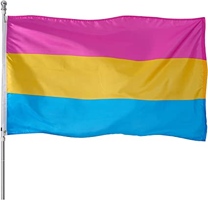Pack of 10 Pansexual Pride Flag 3x5 ft - Omnisexual LGBTQ Flags - Vivid Color and Fade Proof Double Stitched Outdoor indoor Banner with 2 Grommets