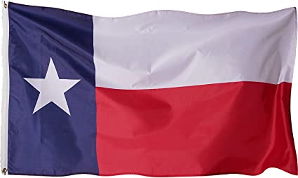 Pack of 12 Texas Flags 3x5 ft Outdoor, Texas State Flag Made in USA for Outdoor Heavy Duty, Polyester State of Texas Flags TX Banner with Brass Grommets for House