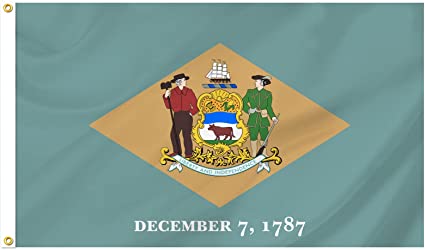 Delaware State Flag for Outsides, 3x5 ft Made in USA Double Sided Delaware Flags with 2 Brass, Flag of Delaware 3 layers Polyester for Outsides/Insides(Delaware)