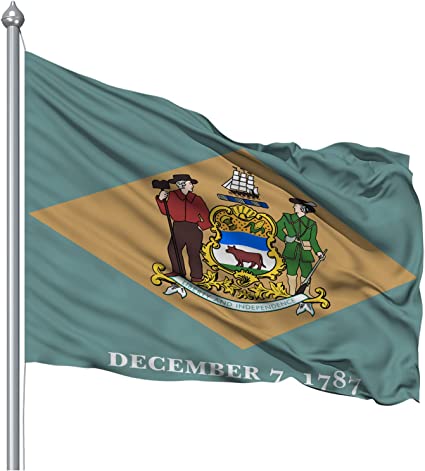 Delaware State Flag for Outsides, 3x5 ft Made in USA Double Sided Delaware Flags with 2 Brass, Flag of Delaware 3 layers Polyester for Outsides/Insides(Delaware)