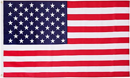 Pack of 12 American Flag for Outsides, 3x5 Ft USA Flags, Heavy Duty Fade Resistant Vivid Color US Flags with Canvas Header 2 Brass Grommets and Double Stitched Banner for Home Room Wall Decoration Outside/Inside