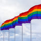 Pack of 2 Rainbow Gay Pride Flag, LGBT Lesbian 3×5Ft Banner, Stripe Outdoor Flags, Fade Resistant Durable Polyester with 2 Brass Grommets, Double Stitched for Home Room Wall Decoration Outside/Inside Use