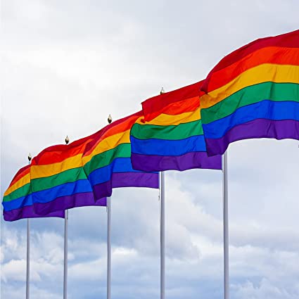 Pack of 2 Rainbow Gay Pride Flag, LGBT Lesbian 3×5Ft Banner, Stripe Outdoor Flags, Fade Resistant Durable Polyester with 2 Brass Grommets, Double Stitched for Home Room Wall Decoration Outside/Inside Use