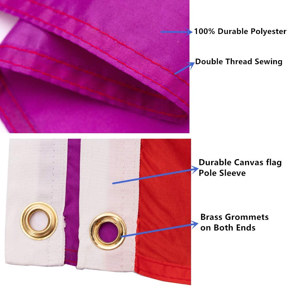 Pack of 2 Rainbow Gay Pride Flag 3x5 ft- LGBTQ Pride Parade Banner Flags UV Fade Resistant for Indoor Outdoor ( 6 Stripes Pride )