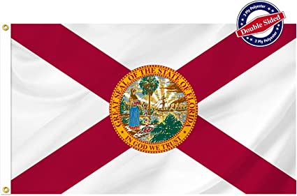 Florida State Flag 3x5 ft Outdoor, Double Sided 3 Layers Flags, Polyester of with 2 Brass Grommets for Outsides/Insides(Florida)