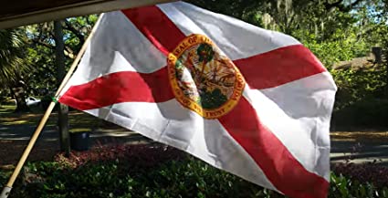 Florida State Flag 3x5 ft Outdoor, Double Sided 3 Layers Flags, Polyester of with 2 Brass Grommets for Outsides/Insides(Florida)