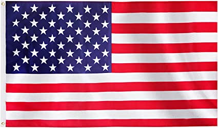 Pack of 10pcs American Flags for Outside 3x5 Ft USA Outdoor - US Flag God Bless America, Durable National Stars and Stripes Indoor Vivid Color Double-Stitched Edges Brass Grommet with Two Brass Grommets