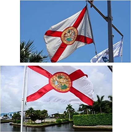 Florida State Flag 3x5 ft Outdoor, Double Sided 3 Layers Flags, Polyester of with 2 Brass Grommets for Outsides/Insides(Florida)