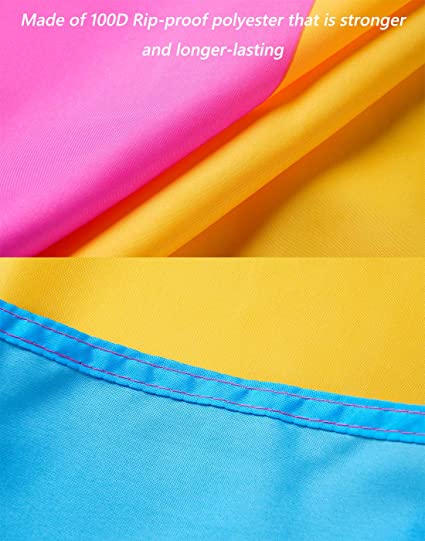 Pack of 10 Pansexual Pride Flag 3x5 ft - Omnisexual LGBTQ Flags - Vivid Color and Fade Proof Double Stitched Outdoor indoor Banner with 2 Grommets