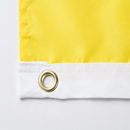 Pack of 10 Ukrainian Flag 3x5 Outdoor - Ukraine Flags National Polyester Double Stitched Vivid Color with 2 Brass Grommets (Dont Tread on Ukraine)