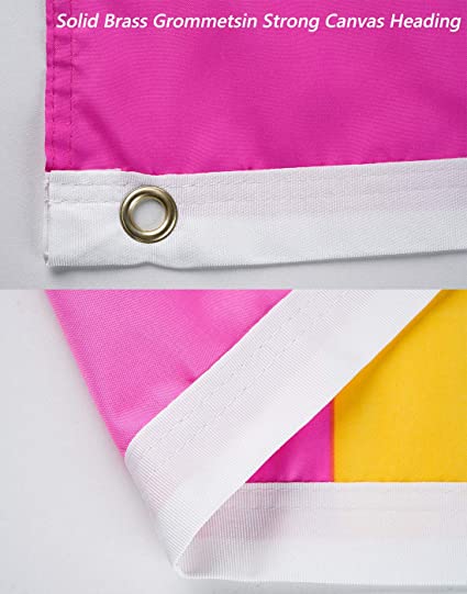 Pack of 10 Pansexual Pride Flag 3x5 ft - Omnisexual LGBTQ Flags - Vivid Color and Fade Proof Double Stitched Outdoor indoor Banner with 2 Grommets