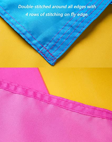 Pack of 10 Pansexual Pride Flag 3x5 ft - Omnisexual LGBTQ Flags - Vivid Color and Fade Proof Double Stitched Outdoor indoor Banner with 2 Grommets