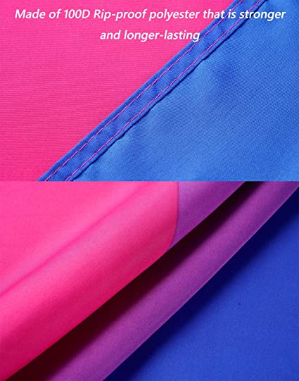 Pack of 10 Bisexual Flag 3x5 ft, Heavy Duty Bi Flags for Outdoor Made in USA, Vivid Color Bisexual Pride Flag Polyester for House Wall Outsides Insides Decoration