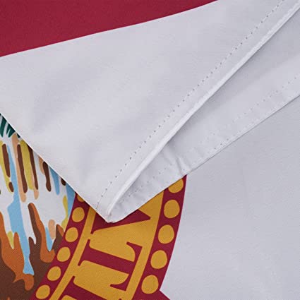 Florida State Flag 3x5 ft Outdoor, Double Sided 3 Layers Flags, Polyester of with 2 Brass Grommets for Outsides/Insides(Florida)