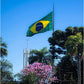 Brazil Brazilian Flag 3x5FT Embroidered Stars Sewn Stripes Heavy Duty Outside Flags with Two Thick Brass Grommets